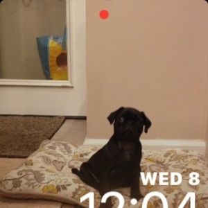 Meet your Posher, June